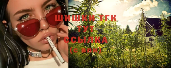 сатива Абдулино