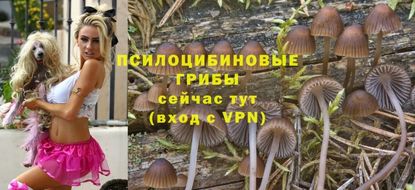 сатива Абдулино