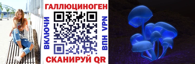 Псилоцибиновые грибы GOLDEN TEACHER  Комсомольск-на-Амуре 