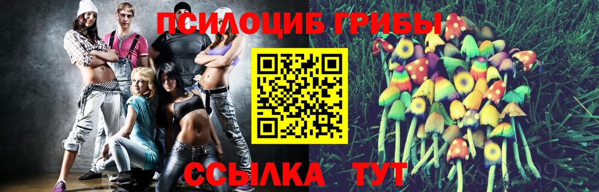 Галлюциногенные грибы Psilocybe  Псилоцибиновые грибы Psilocybine cubensis  Вход с VPN  Комсомольск-на-Амуре 